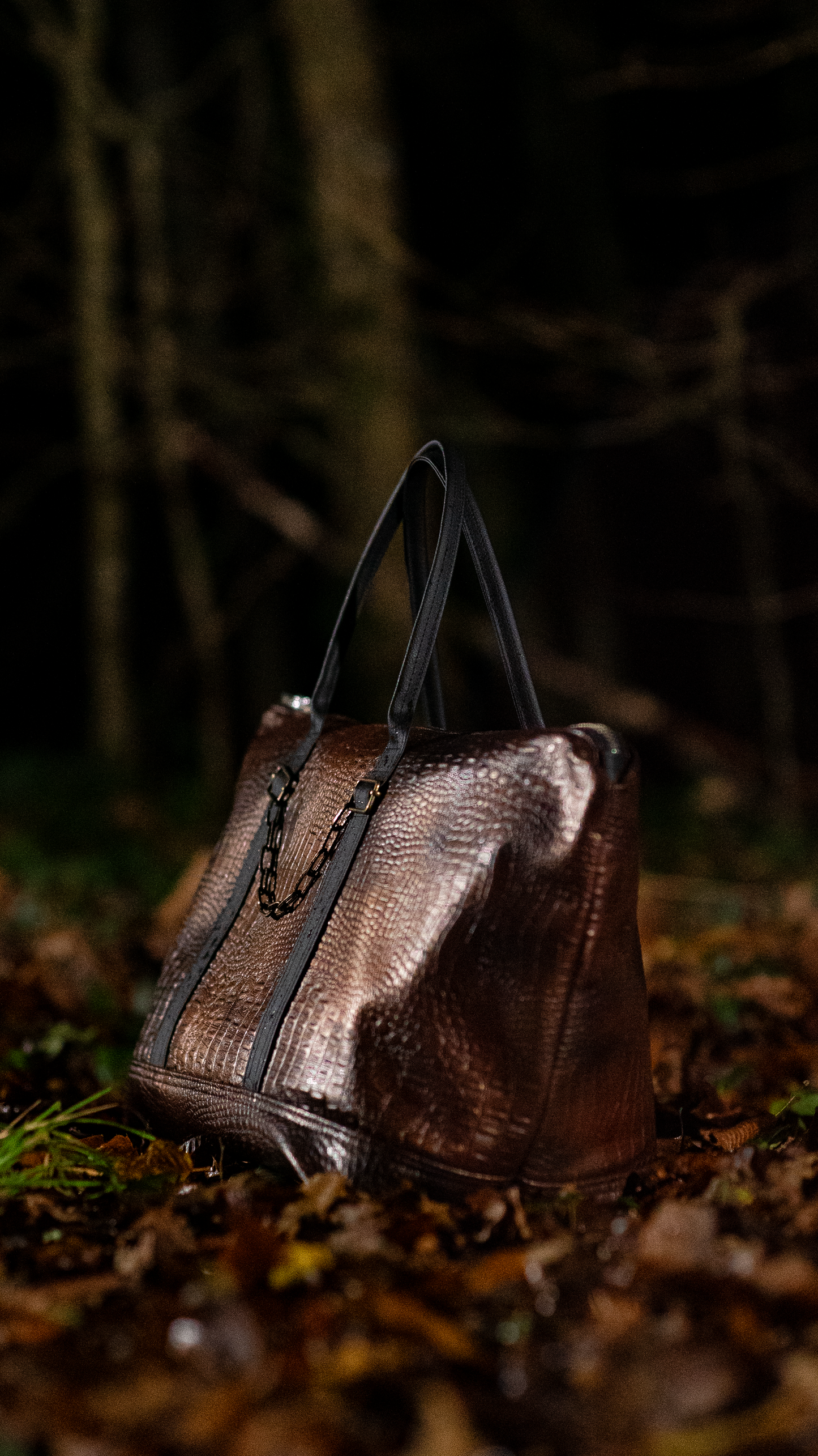 Brown Croco Bag