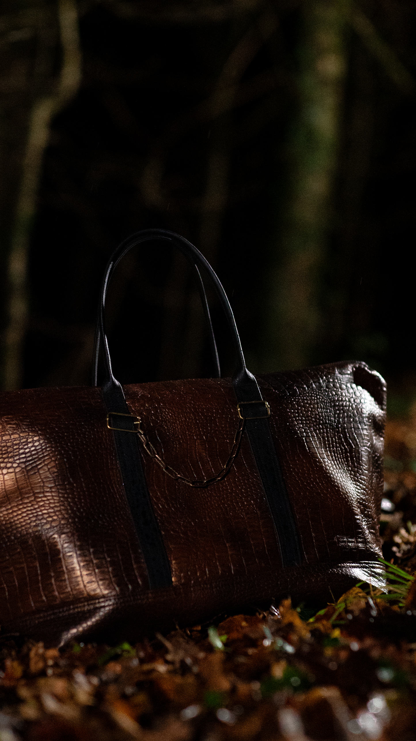 Brown Croco Bag